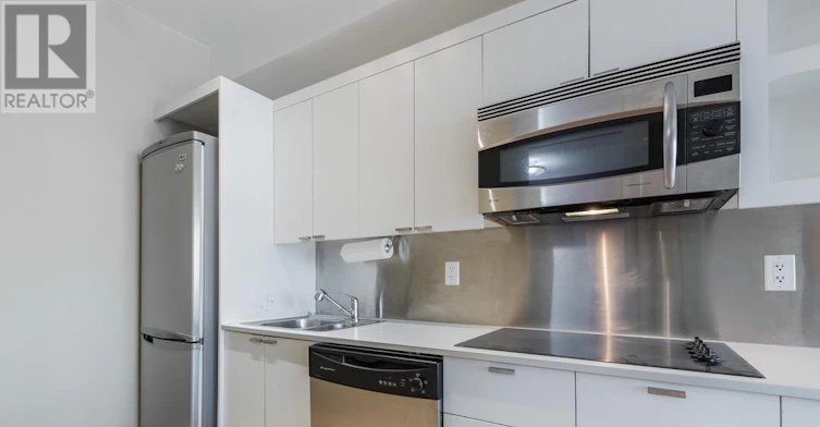 1620-111 Elizabeth Street, Toronto, ON, M5G 1P7 - 10