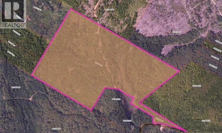 LOT Backland Road