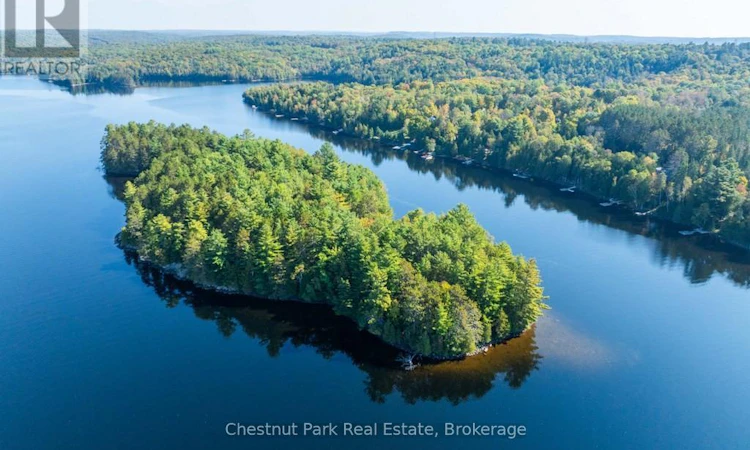 10000 Soyers Brown Island