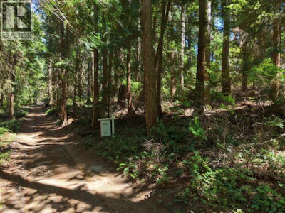 3198 Vancouver Boulevard - 4