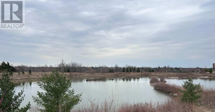14 Springdale Avenue, Caledon, ON, L7C 4L5 - 48