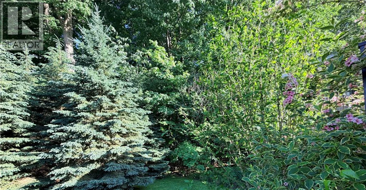 765 Chesapeake Drive, Waterloo, ON, N2K 4G3 - 24