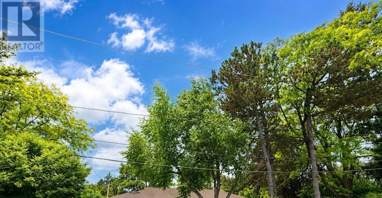 3 Oxbow Road, Toronto, ON, M3B 1Z9