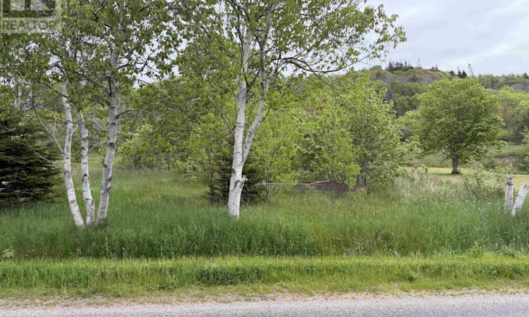 262 Trout Cove Road