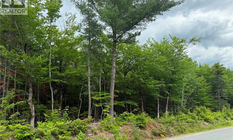 Lot-3 Hansen Road