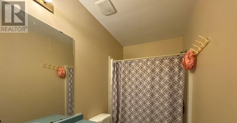 308 Oakdale Avenue, St. Catharines, ON, L2P 2T5 - 9
