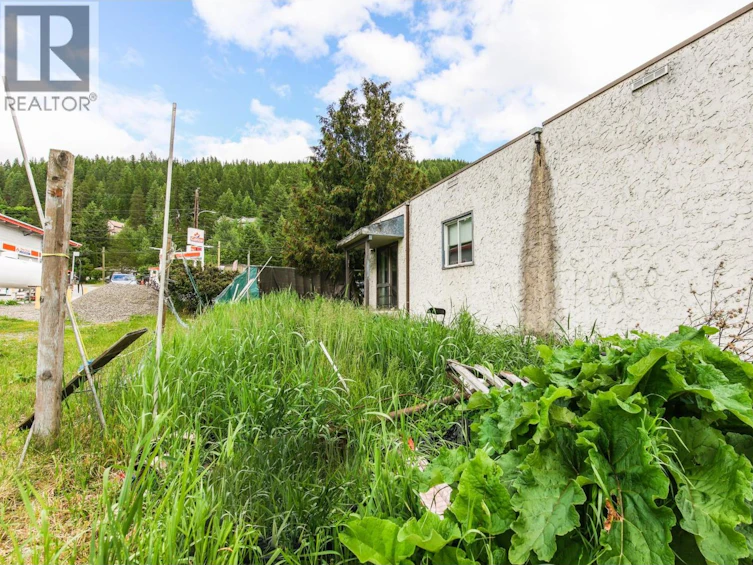 466 S Gold Avenue, Greenwood, BC, V0H 1J0 - 23