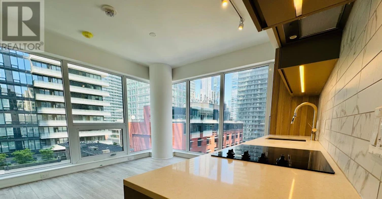 1109-55 Mercer Street, Toronto, ON, M5V 3W2 - 2