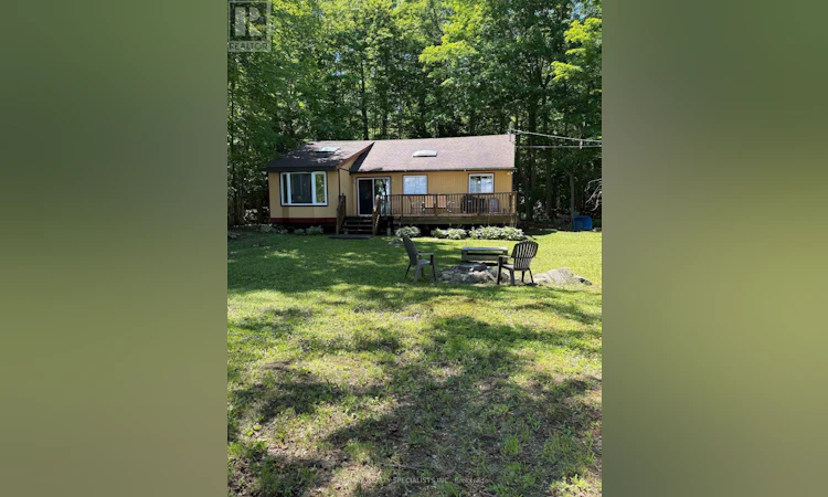 LOT-238 Snake Island