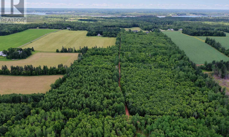 Lot-10 Birch Lane