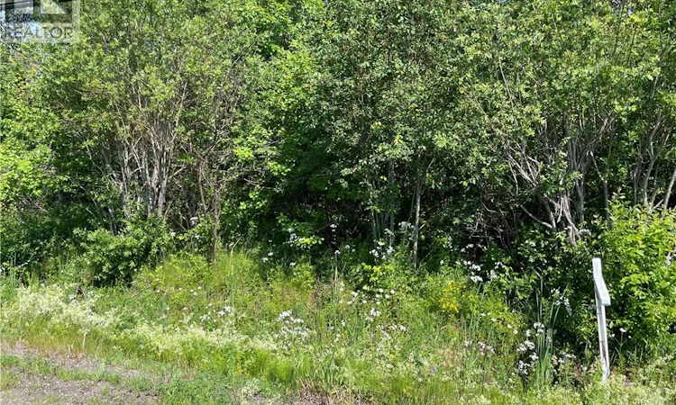 Lot-3 Communication Road
