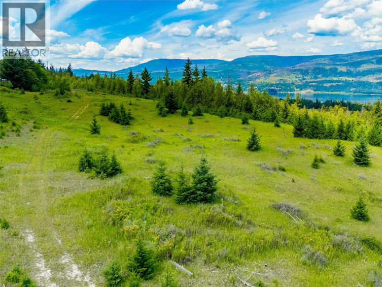 890 Dilworth Road, Sorrento, BC, V0E 2W1 - 15