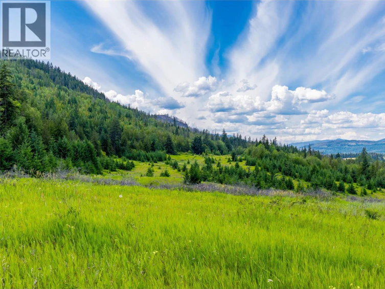 890 Dilworth Road, Sorrento, BC, V0E 2W1 - 28