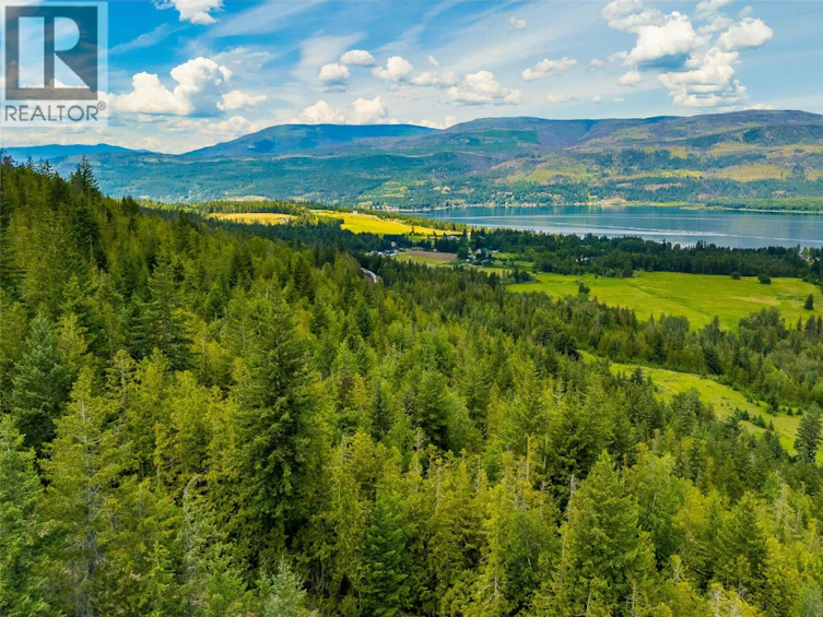 890 Dilworth Road, Sorrento, BC, V0E 2W1 - 9