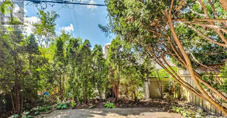 46 Alberta Avenue, Toronto, ON, M6H 2R6 - 50