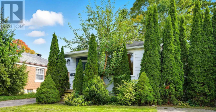 559 Hamilton Street, Peterborough, ON, K9J 4C2 - 3