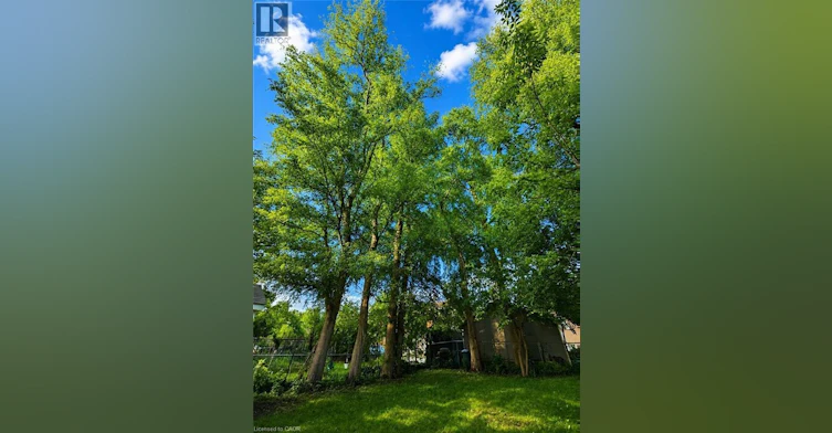 128 Oxford Street, Kitchener, ON, N2H 4R9 - 46