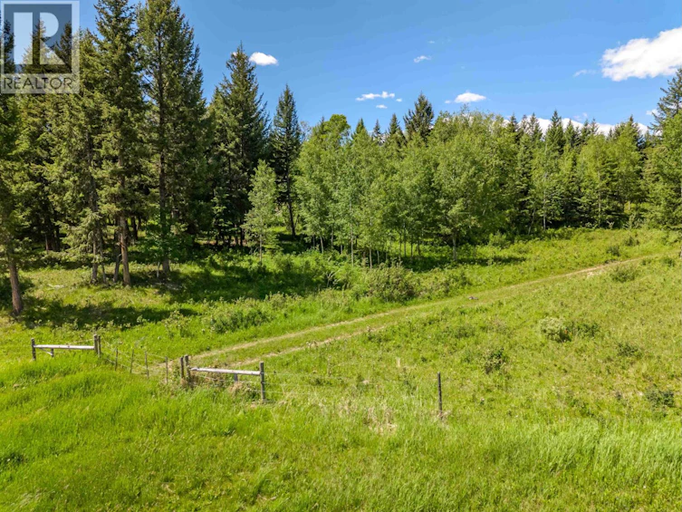 DL-2969A Buffalo Creek Road, 100 Mile House, BC, V1K 1G0 - 20