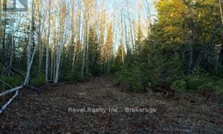 17 Diamond Lake Road