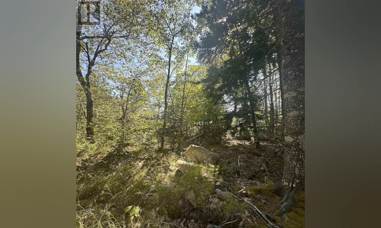 Lot (PID-70241864 Wellington Road
