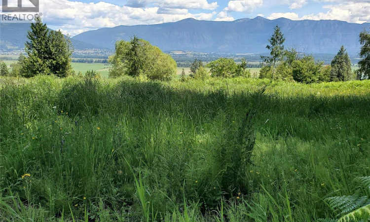Lot-2 Simmons Road