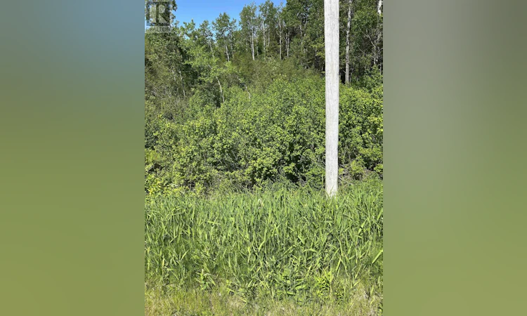 Lot-2 Stewood Drive