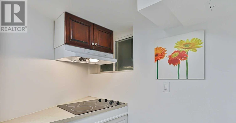 BASEMENT-209 Connaught Avenue, Toronto, ON, M2M 1H6 - 9