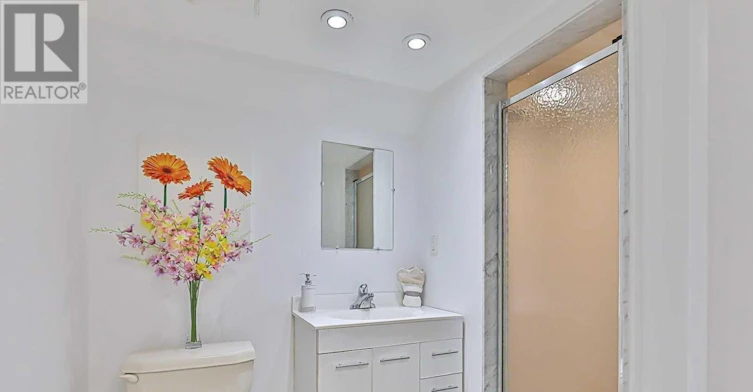 BASEMENT-209 Connaught Avenue, Toronto, ON, M2M 1H6 - 8