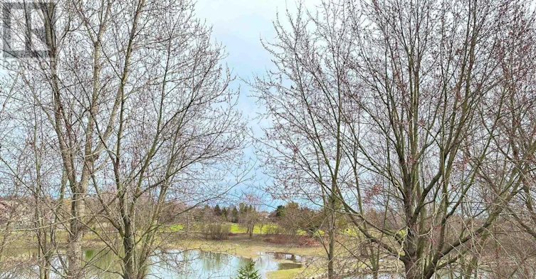407 Kingbird Court, London, ON, N5X 4H6 - 23