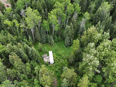 7772 Bell Road - 5