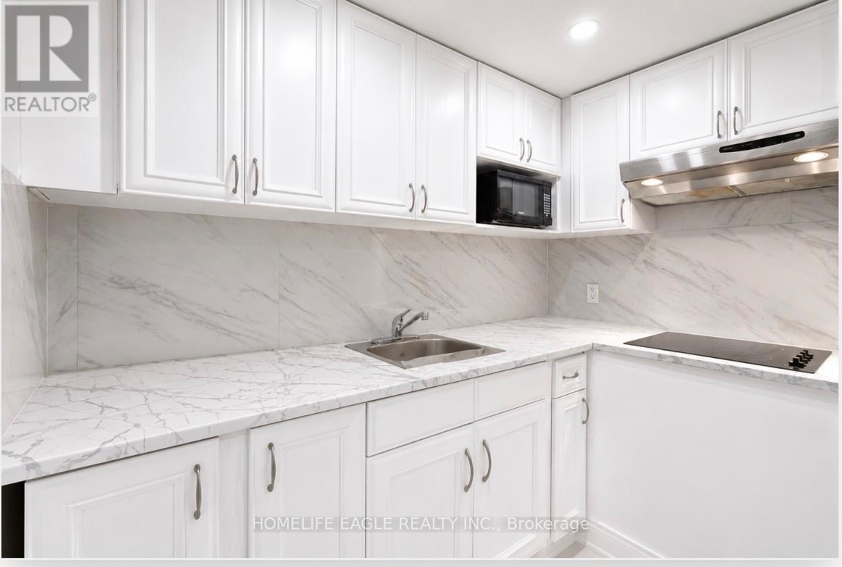 BASEMENT-254 Andrew Street, Newmarket, ON, L3Y 1H2 - 6