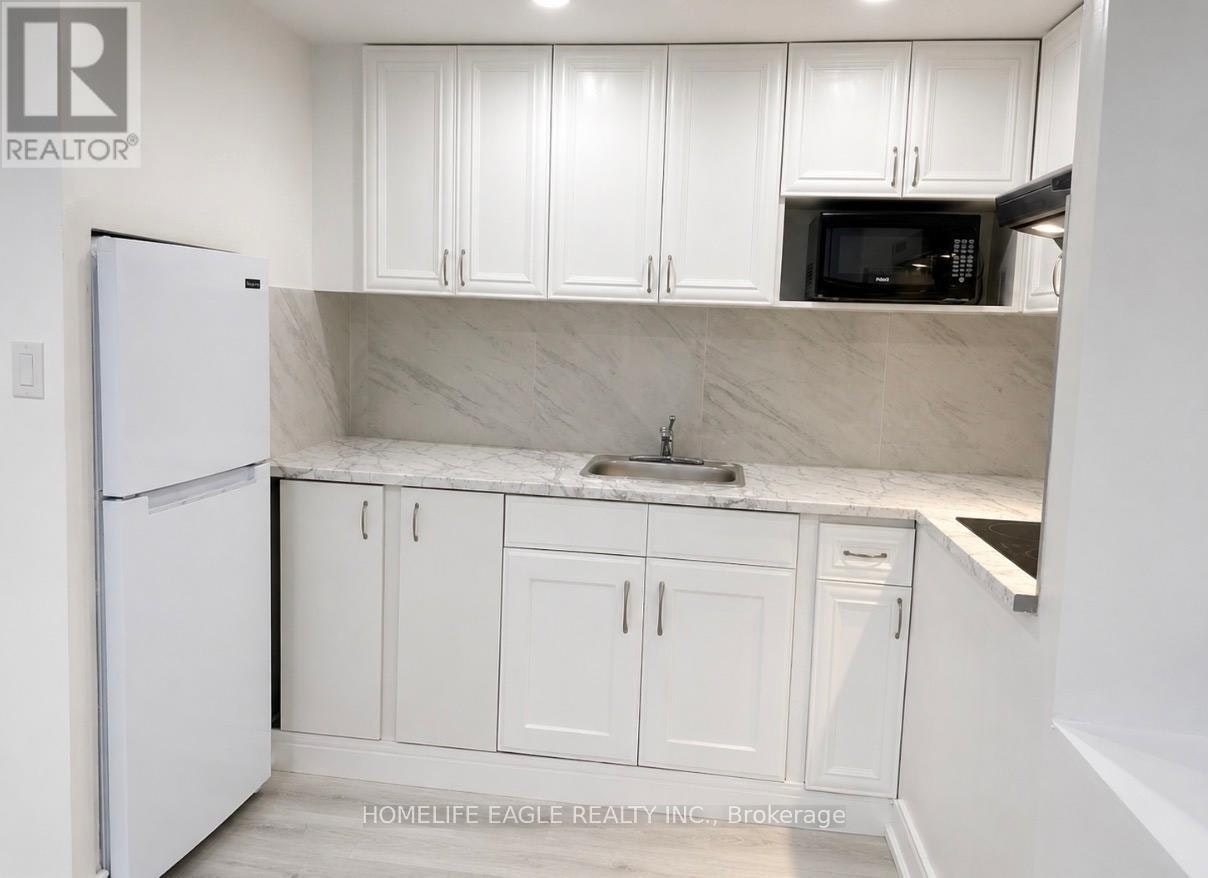 BASEMENT-254 Andrew Street, Newmarket, ON, L3Y 1H2 - 7