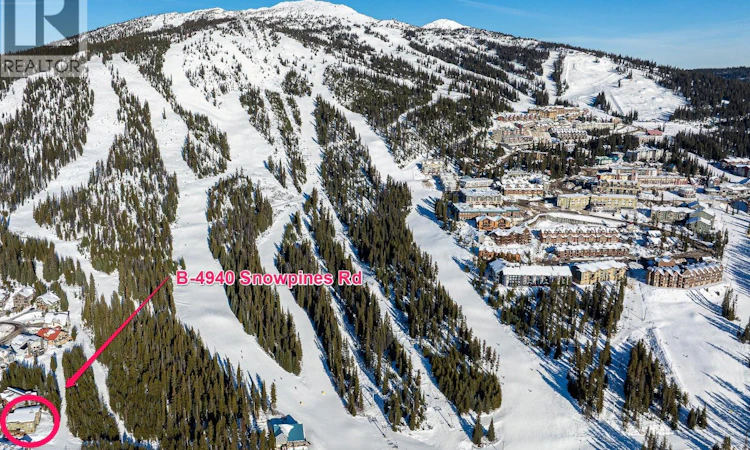 B-4940 Snowpines Road