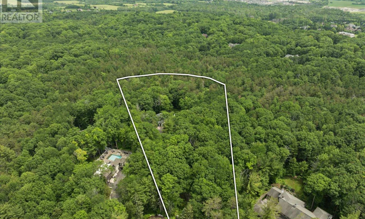 80 White Pine Trail
