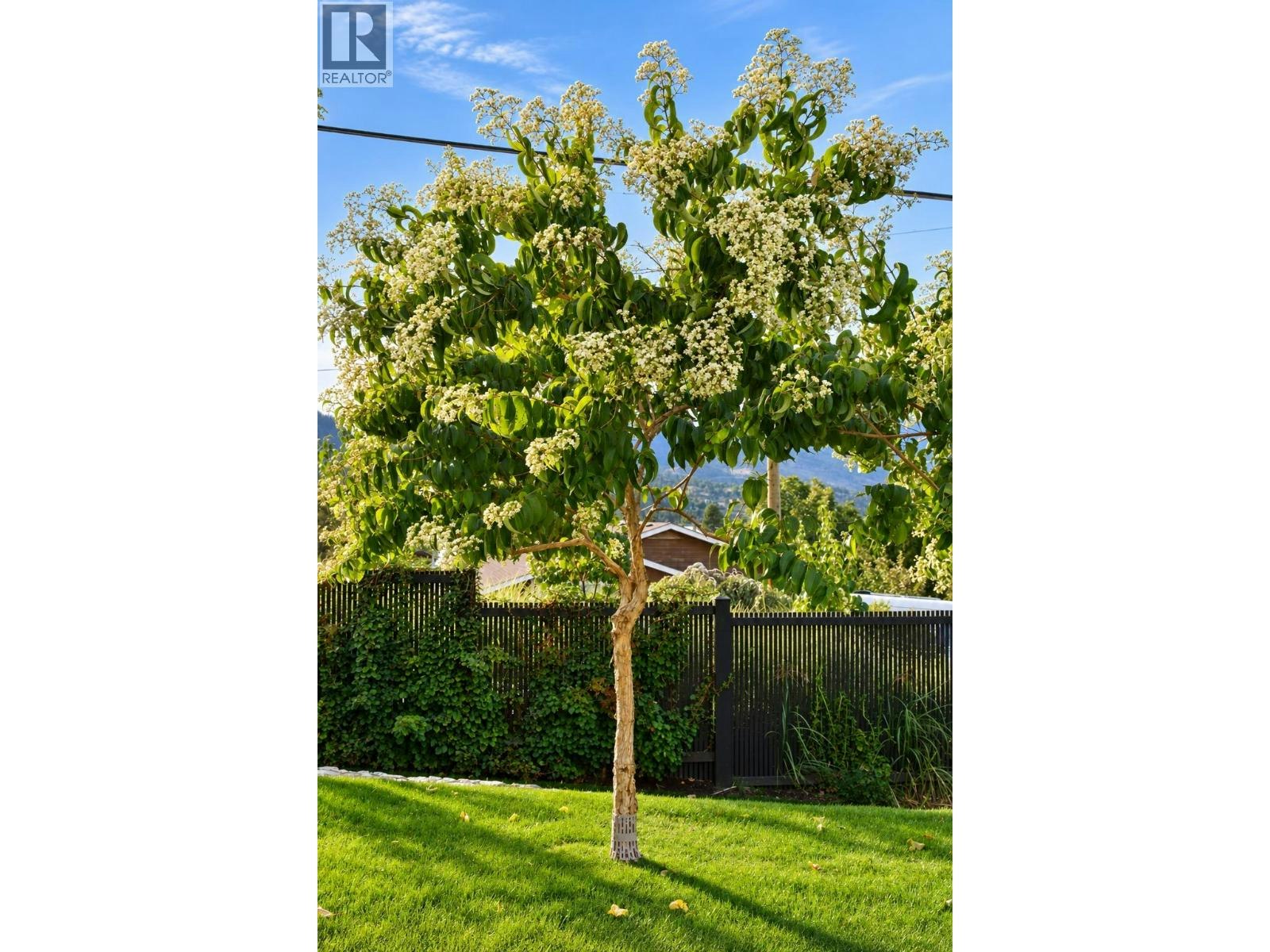 319 Carmel Crescent, Okanagan Falls, BC, V2A 1R5 - 46