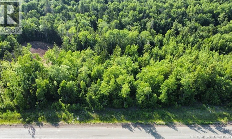 Lot 21-39 Orchard Avenue