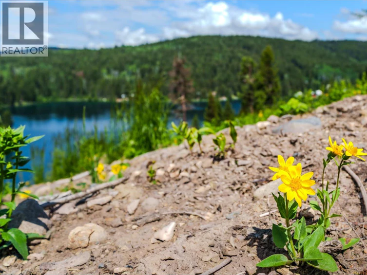 6168 Deka Heights Road, Deka Lake, BC, V0K 1X3 - 14