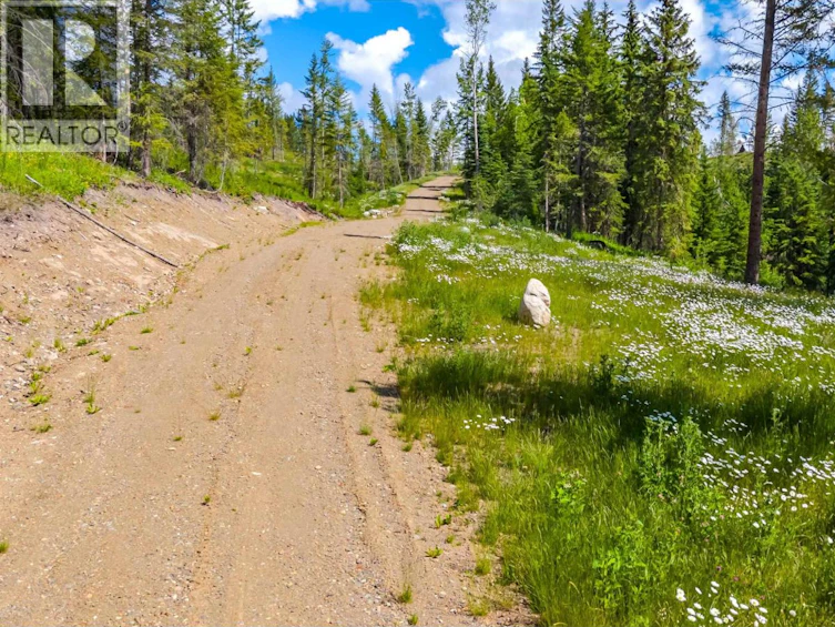 6168 Deka Heights Road, Deka Lake, BC, V0K 1X3 - 19
