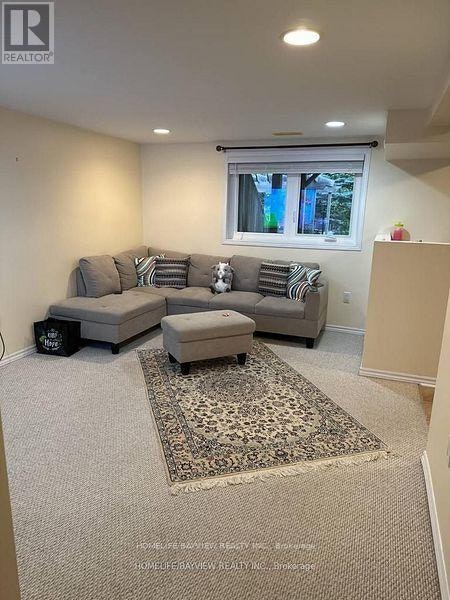 LOWER-798 Hilton Boulevard, Newmarket, ON, L3X 2H6 - 12