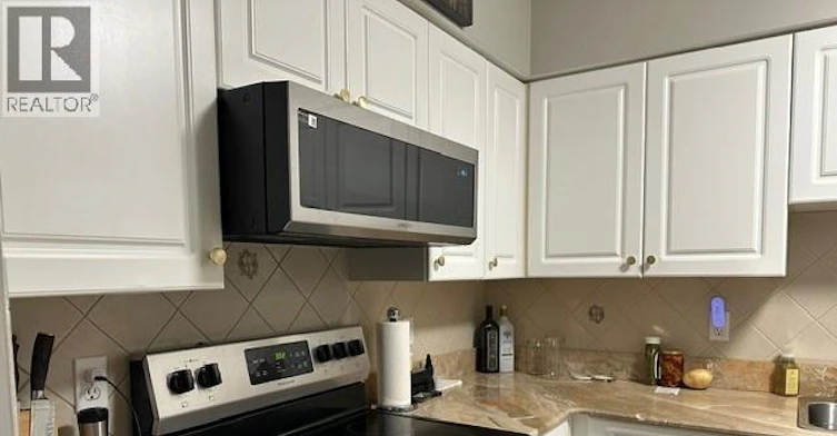 205-4789 Riverside Drive East, Windsor, ON, N8Y 5A2 - 13