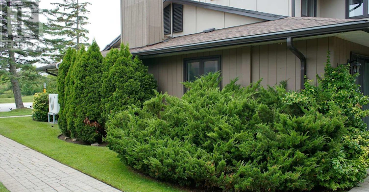 4-4 Trafalgar Road, Collingwood, ON, L9Y 5G4 - 26