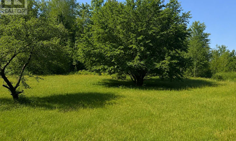 8300 Klitbo Road
