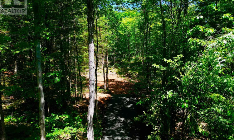 LOT-6 Fairy Falls Road