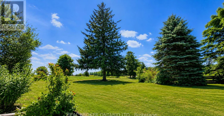 341553 2 Ndr Concession Concession, West Grey, ON, N4N 3B9 - 25