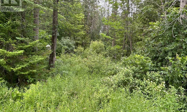 PART Lot 2 17 Conc Road