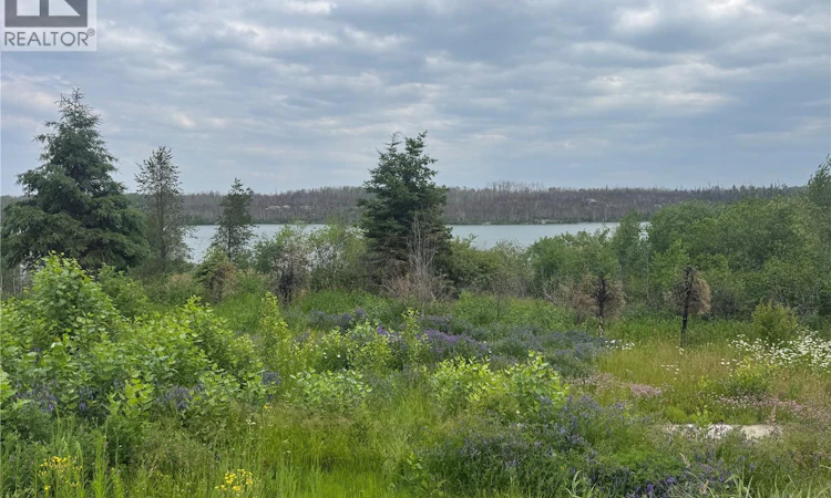 226 Eagle Point Drive