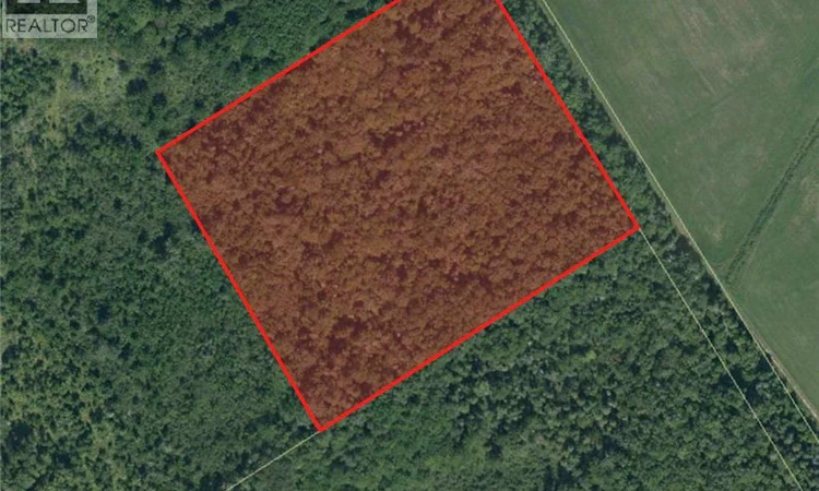 Lot Saint Damien Road