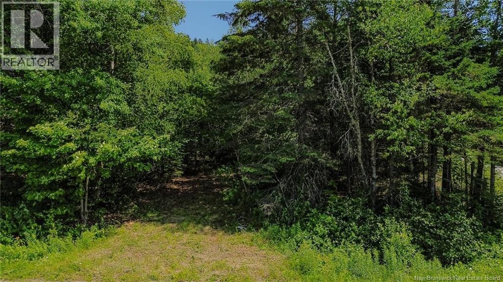 Vacant Land 845 Route, Kingston, NB, E5N 1P3