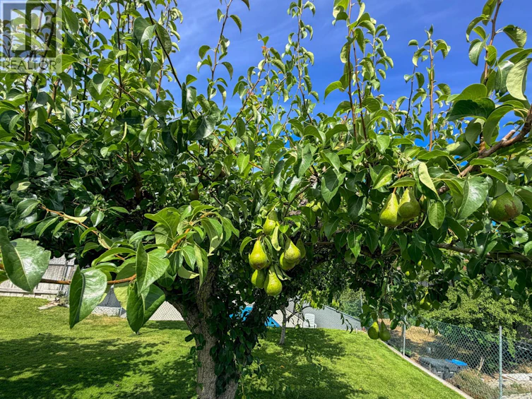 11 Quail Place, Osoyoos, BC, V0H 1V1 - 28