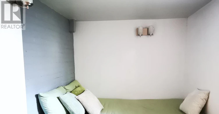 BASEMENT-488 Manning Avenue, Toronto, ON, M6G 2V7 - 7